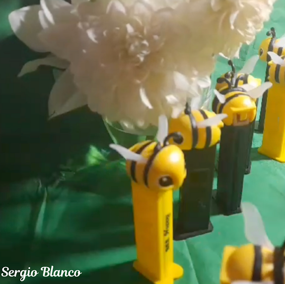 gonzalo blanco 6