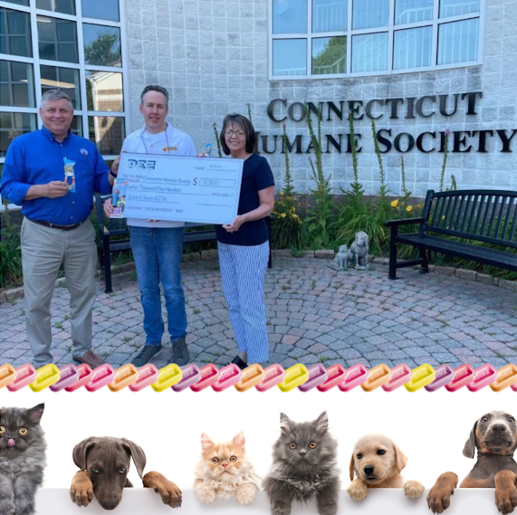 PEZ Raises $12,500 for the Connecticut Humane Society connecticut humane society pez